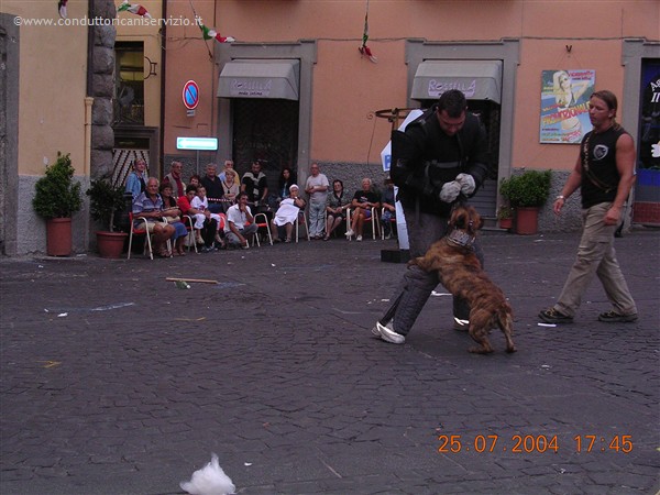 addestramento_esibizioni_53.jpg - Click to close this window